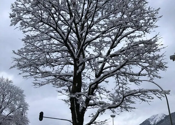 Appartement Schneegloeckchen *